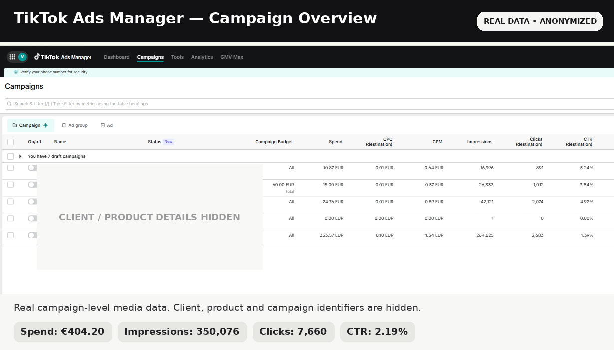 An anonymized TikTok Ads Manager campaign overview showing €404.20 spend, 350,076 impressions, 7,660 clicks and 2.19% CTR.